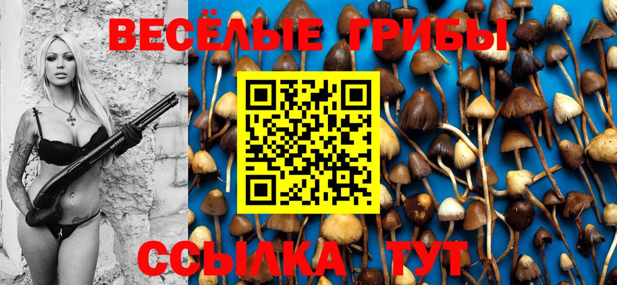 Галлюциногенные грибы Cubensis Чапаевск