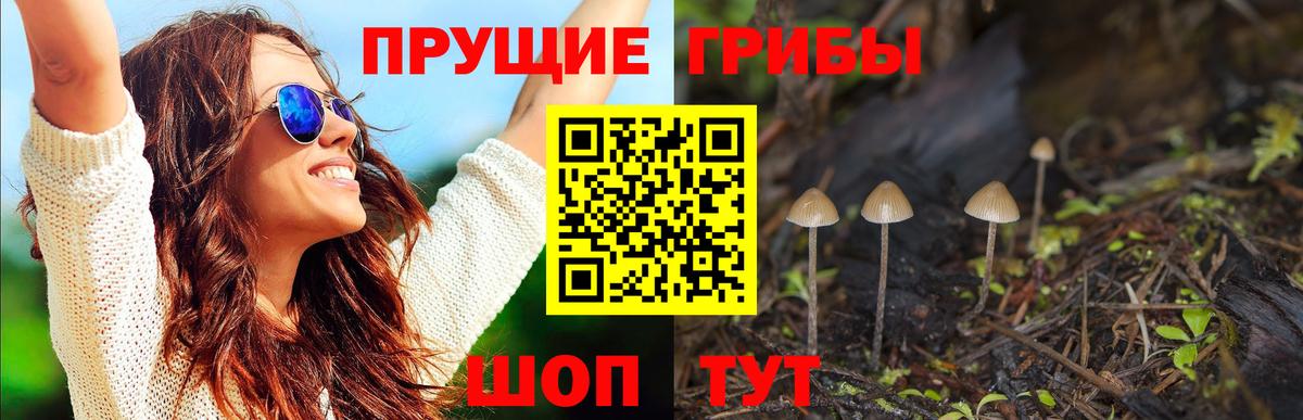 купить наркотики сайты  Псилоцибиновые грибы мицелий  Чапаевск  Вход с VPN  Псилоцибиновые грибы прущие грибы 